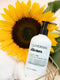 The Insiders Daydream Volume Conditioner 250 ml - Conditioner voor ieder haartype