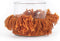 The Oh My Gee Kaarshouder - Roest Velvet - S - Set van 4