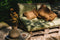 The Oh My Gee Kussenhoes - Bruin - 30x50
