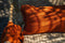 The Oh My Gee Kussenhoes - Roest Fluweel - 30x50