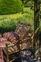 The Oh My Gee Kussenhoes - Zalmroze - 30x50