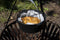 The Windmill Dutch Oven 4,5Qt - 2,8 ltr - gietijzer met coolgrip
