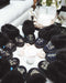 The Zodiac Collection