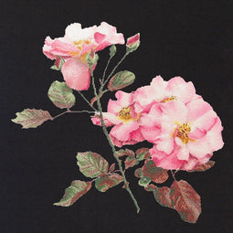 Thea Gouverneur - Borduurpakket met telpatroon - 412.05 - Voorgesorteerde DMC Garens - Rosa Leersum Roos - Zwart Aida - 44 cm x 44 cm - DIY Kit