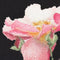 Thea Gouverneur - Borduurpakket met telpatroon - 412.05 - Voorgesorteerde DMC Garens - Rosa Leersum Roos - Zwart Aida - 44 cm x 44 cm - DIY Kit