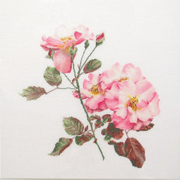 Thea Gouverneur - Borduurpakket met telpatroon - 412A - Voorgesorteerde DMC Garens - Roos Leersum - Aida - 44 cm x 44 cm - DIY Kit