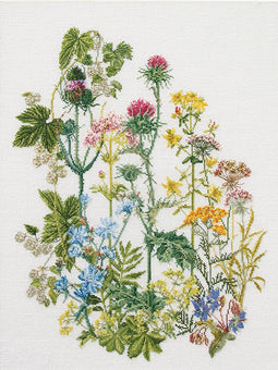 Thea Gouverneur - Borduurpakket met telpatroon - 424A - Voorgesorteerde DMC Garens - Wilde Kruiden - Aida - 35 cm x 46 cm - DIY Kit