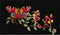 Thea Gouverneur - Borduurpakket met telpatroon - 439.05 - Voorgesorteerde DMC Garens - Vlinder Kamperfoelie - Zwart Aida - 29 cm x 18 cm - DIY Kit