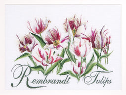 Thea Gouverneur - Borduurpakket met telpatroon - 447A - Voorgesorteerde DMC Garens - Rembrandt Tulpen - Aida - 59 cm x 43 cm - DIY Kit