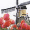 Thea Gouverneur - Borduurpakket met telpatroon - 473A - Voorgesorteerde DMC Garens - Bollenveld Tulp - Aida - 24 cm x 14 cm - DIY Kit