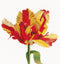 Thea Gouverneur - Borduurpakket met telpatroon - 519A - Voorgesorteerde DMC Garens - Rood-Gele Papegaai Tulp - Aida - 34 cm x 36 cm - DIY Kit