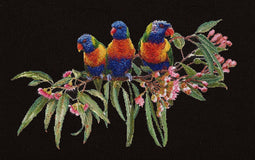 Thea Gouverneur - Borduurpakket met telpatroon - 553.05 - Voorgesorteerde DMC Garens - Lorikeets - Zwart Aida - 52 cm x 36 cm - DIY Kit