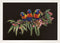 Thea Gouverneur - Borduurpakket met telpatroon - 553.05 - Voorgesorteerde DMC Garens - Lorikeets - Zwart Aida - 52 cm x 36 cm - DIY Kit