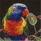 Thea Gouverneur - Borduurpakket met telpatroon - 553.05 - Voorgesorteerde DMC Garens - Lorikeets - Zwart Aida - 52 cm x 36 cm - DIY Kit