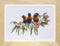 Thea Gouverneur - Borduurpakket met telpatroon - 553A - Voorgesorteerde DMC Garens - Lorikeets - Aida - 52 cm x 36 cm - DIY Kit