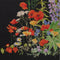 Thea Gouverneur - Borduurpakket met telpatroon - 554.05 - Voorgesorteerde DMC Garens - Amerikaanse Wilde Bloemen - Zwart Aida - 50 cm x 67 cm - DIY Kit