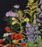 Thea Gouverneur - Borduurpakket met telpatroon - 554.05 - Voorgesorteerde DMC Garens - Amerikaanse Wilde Bloemen - Zwart Aida - 50 cm x 67 cm - DIY Kit