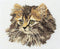 Thea Gouverneur - Borduurpakket met telpatroon - 930A - Voorgesorteerde DMC Garens - Langharige Bruine Kat - Aida - 30 cm x 40 cm - DIY Kit