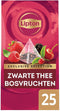 Thee lipton exclusive bosvruchten 25x2gr