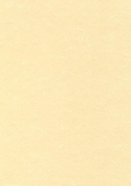 THEMA A4 CHAMPAGNE 165G 50V