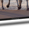 Thomson 43UA5S13 Zwart