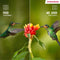 Thomson - Google TV - 4K Ultra HD - 43UG4S14