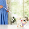 Little Live Pets - My Pet Lamb - Interactief Lammetje met geluiden - Snowie