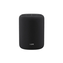 WiiM Sound Lite - Draadloze Smart Speaker - 100W Hi-Res Audio - Zwart