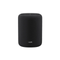WiiM Sound Lite - Draadloze Smart Speaker - 100W Hi-Res Audio - Zwart