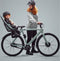 Thule Yepp 2 maxi Fietszitje Agave One-Size