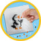 SES Beedz - Pool Dieren - pinguïns, ijsberen en walrussen - 2100 strijkkralen met legbord - PVC vrij