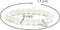 TI SENTO Armband 2610PW - Zilveren dames armband - Maat M