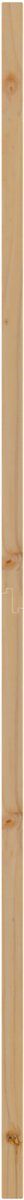 vidaXL - Interne - Deur - 'ORKDAL'78x211x4 - cm - Massief - Den - Hout