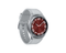 Samsung Galaxy Watch6 Classic Bluetooth + Cellular 43 mm - Zilver