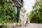 TICKLESS ECO PET - Anti Teek