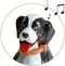 Tienerpop Lucas met Hond en Geluid - 31 cm - Inclusief Accessoires - Voor Kinderen vanaf 3 Jaar