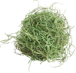 Tillandsia Mos Groen 500G kerst