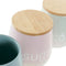 Tin DKD Home Decor Blauw Groen Roze Rubberwood Keramiek (3 pcs) (10 x 10 x 16 cm)
