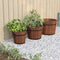 vidaXL - Plantenbakset - houten - emmer - 3-delig - massief - vurenhout