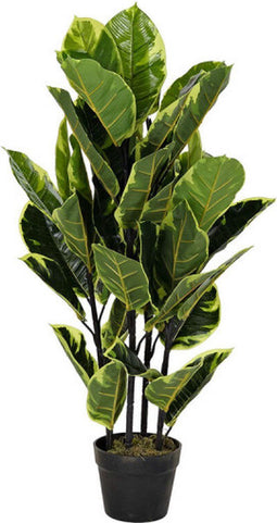 Decoratieve plant DKD Home Decor Polyethyleen Stads 40 x 40 x 90 cm