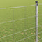 vidaXL - Veldhek - 1,6 - x - 25 - m - Gegalvaniseerd - Staal