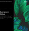 Xerox 106R03740 - Toner - Origineel - Cyan