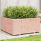vidaXL - Plantenbak - 100x100x49,5 - cm - massief - douglashout