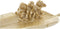 Middenstuk DKD Home Decor Hars Tropisch Gouden (27.7 x 13.4 x 6.5 cm)