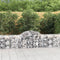 vidaXL - Schanskorven - 10 - st - gewelfd - 200x50x60/80 - cm - gegalvaniseerd - ijzer