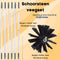 Schoorsteenveegset - schoorsteenborstel 9 meter - veegkit - borstelset voor boormachine - boormachine