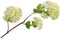 Silk-ka Kunstbloem-Zijden Bloem Sneeuwbal Tak Crème Groen 107 cm