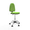 Piqueras y Crespo B0005RF - Bureaustoel - Hoogteverstelbaar - Pistache