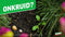 ROUNDUP® Natuurlijk Onkruidvrij Kant en Klaar Spray 3L - Natuurlijke onkruidverdelger zonder glyfosaat - Voor 30m²