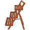 Acaciahout Bloemenladder - 3 Laags - Opvouwbaar - Bruin - 56 x 59 x 79 cm